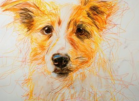 Poszter 55x40cm Bájos vendég