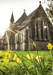 Poszter 29,7x42cm Húsvéti nárciszok, Assaf Frank