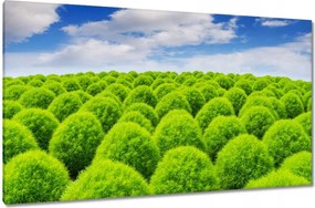 Vászonkép 120x70 Zöld tekintet Völgy