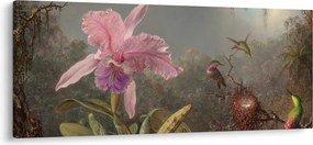Kép - Martin Johnson Heade, Cattleya Orchid and Three Hummingbirds, reprodukciók (120x50 cm)
