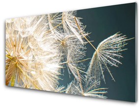 Akrilüveg fotó pitypang növény 120x60 cm