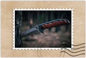 Poszterek 90x60 Fa kéregbe szúrt kés