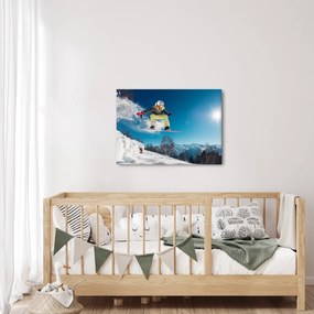Kép - Snowboardos (70x50 cm)