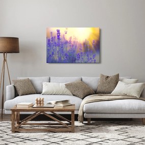 Kép - Levendula (90x60 cm)