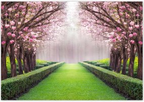 Poszterek 100x70 Gyönyörű virágok a nappaliba