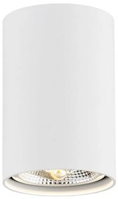 Argon 4910 - Spotlámpa TUBO AR111 1xGU10/15W/230V fehér