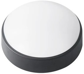 LED kültéri mennyezeti lámpa LED/14W/230V IP54 fekete