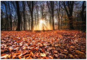 Poszterek 185x125 Ćszi kilĂĄtĂĄs TĂĄjkĂ©p