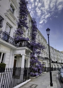 Poszter 64x90cm Ház a Portobello úton, Assaf Frank