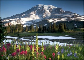 Üveg kép - Mount Rainier (70x50 cm)
