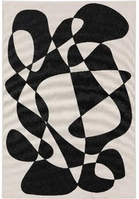Kültéri és beltéri szőnyeg Taro Fekete/Fehér 200x290 cm