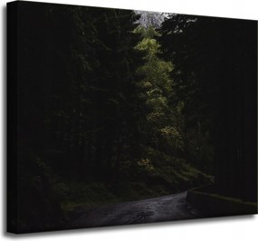 Vászonkép Természet Út Sötétség Félelem 50x40 cm