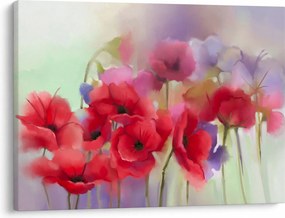 A mák képe (70x50 cm)
