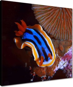 Vászonkép 40x40 Halak a vízi ökoszisztémában