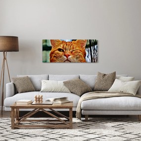 Egy pislogó macska képe (120x50 cm)