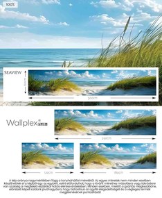 Wallplex konyhahátfal Seaview (Méret: 60x300)
