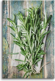 Vászonkép fali dekoráció konyha gyógynövények rozmaring 80x120cm