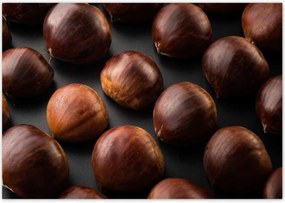 Poszterek 100x70 Kormány Ehető gesztenye