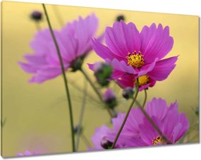 Vászonkép 100x70 Virágok a réten