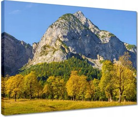 Vászonkép 40x30 Hegyi táj tiszta égbolttal Fák a hegyekben