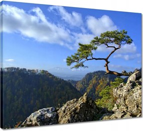 Vászonkép 50x40 Tájképek Kilátások Tájképek