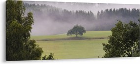 Egy kép a rétről egy fával (120x50 cm)