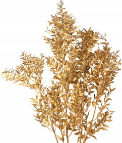 Szárított ruskus arany, csipkebogyó, csokor 5 db, szárított virágcsokor