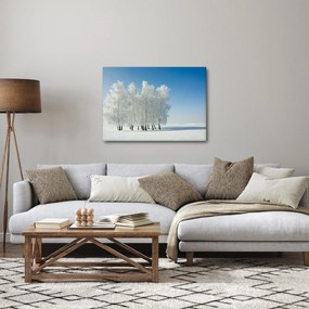 Egy havas táj képe (70x50 cm)
