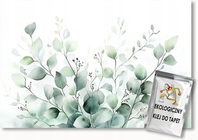 Fotótapéta Flizelina Akvarell Növény Eukaliptusz Levelek Boho 400x280 ragasztó