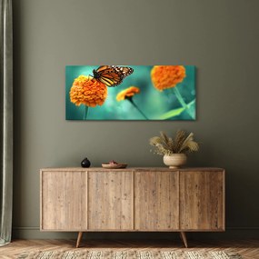 Egy pillangó képe (120x50 cm)