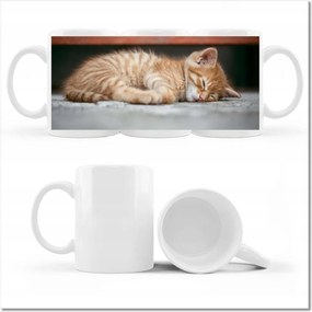 Cica-macska szépség fényképes bögre