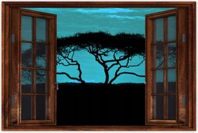 Poszterek 90x60 Akác a szavannán