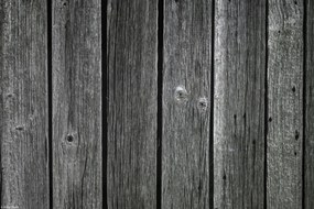 Poszter 30x20cm Fa díszlécek, Assaf Frank