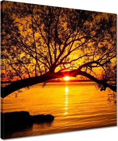 Vászonkép 40x40 Tengerpart Fa Tenger