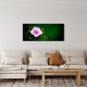 Rózsaszín virág képe (120x50 cm)