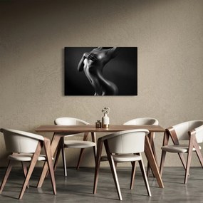 Kép - Meztelen nők (90x60 cm)