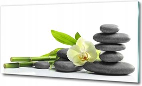 Fotó vászonkép edzett üveg Fehér dália 100x70