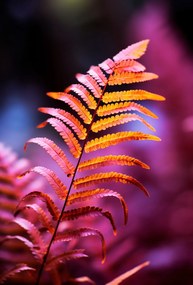 Poszter 67,5x100cm Ćszi tƱz