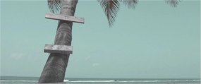 Kép - Palma a Karib-tengeren (120x50 cm)