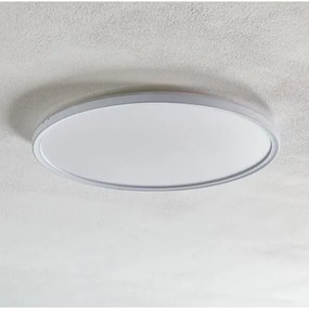 Briloner 7094-416 - LED RGBW dimmelhető mennyezeti lámpa SLIM LED/22W/230V + DO