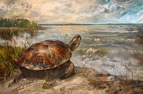 Poszter 86,4x56,8cm Tengerparti teknős