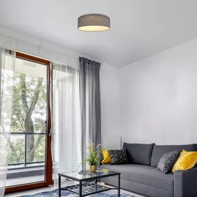 Rabalux - LED mennyezeti lámpatest LED/22W/230V szürke