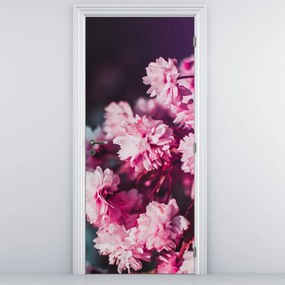 Fotótapéta ajtóra - Egy fa virágai (95x205cm)
