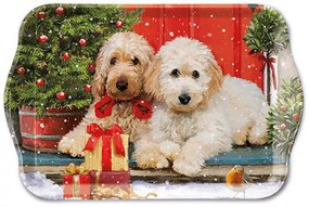 Kutyás karácsonyi műanyag kis tálca Dogs at the door