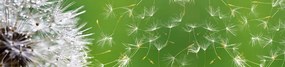 DANDELION öntapadós konyhai poszter, 260x60 cm