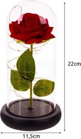 Világító örökrózsa luxuscsomagolásban