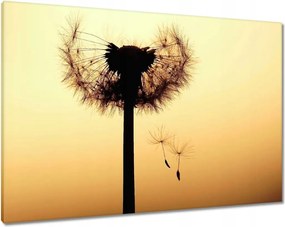 Vászonkép 100x70 Pitypang Virág Virágok