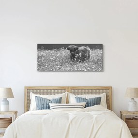 Kép - Skót tehén 5, fekete-fehér (120x50 cm)