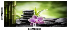 Fotótapéta orchidea zen 104x70 cm