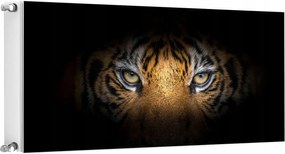 Mágneses Radiátorszőnyeg 120x60 Tigris Fotótapéta
